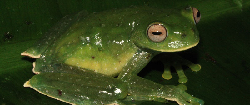 Colombia Bio, por el uso sostenible de la biodiversidad en el 2018