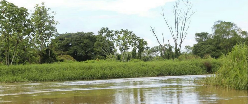 Colombia cuenta con 17 POMCAS aprobados bajo el nuevo marco legal de Planificación de Cuencas
