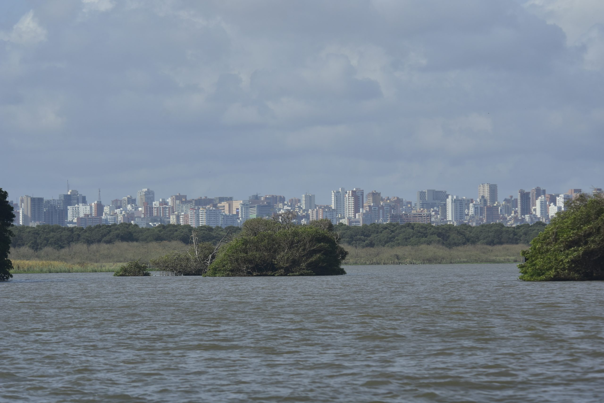 Colombia, un país de Biodiverciudades