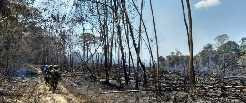 Con criterios ambientales priorizan atención a incendios forestales en Guaviare