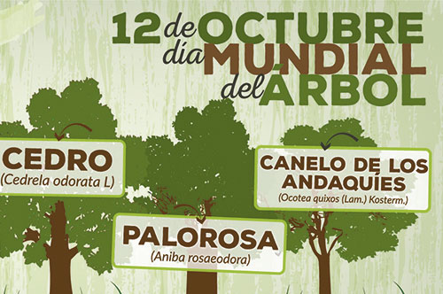 Día Mundial del Árbol, una fecha para resaltar la importancia de los bosques