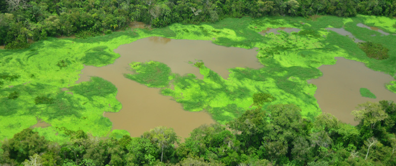 Lagos de Tarapoto, nuevo humedal Ramsar en Colombia