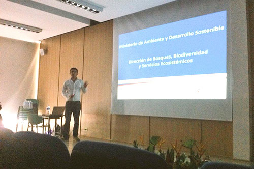 Minambiente presentó planes de conservación de especies de plantas en peligro de extinción