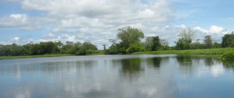 Minambiente se fortalece para cumplir sentencia sobre el río Atrato