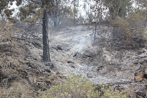 Ministro Gabriel Vallejo coordina control de incendios en Sutatausa, Cundinamarca