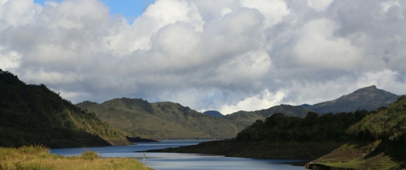 Organización internacional WCS apoya esfuerzos de conservación de Colombia