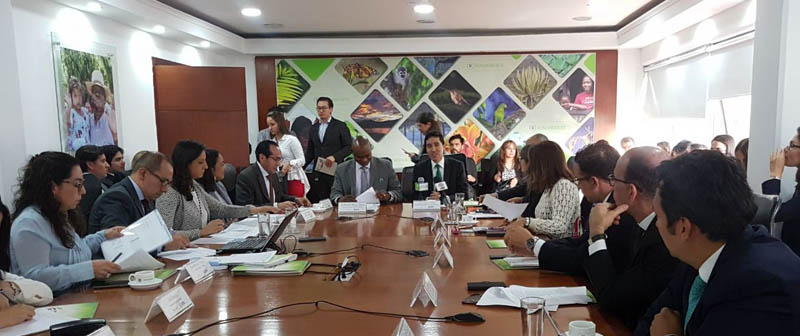 Sectores comprometidos con la reducción de emisiones de CO2 adoptan medidas contra la deforestación