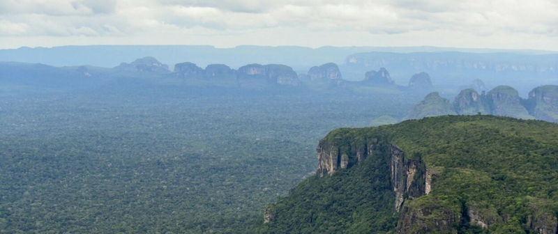 Visión Amazonía: Acciones contundentes para detener la deforestación