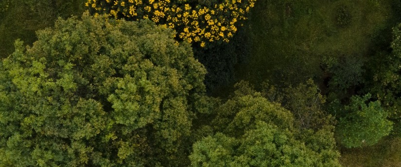 Respira, el plan para restaurar los ecosistemas de Colombia