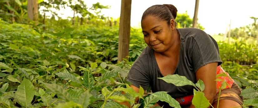 Mujeres y cambio climático, la importancia de una relación que salva vidas