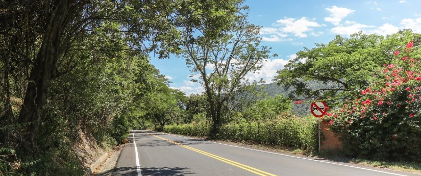El sector transporte ha sembrado más de un millón setecientos mil árboles en todo el país