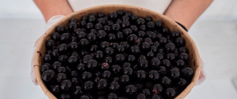 El negocio verde Tropifrutt elabora productos sostenibles con frutos amazónicos