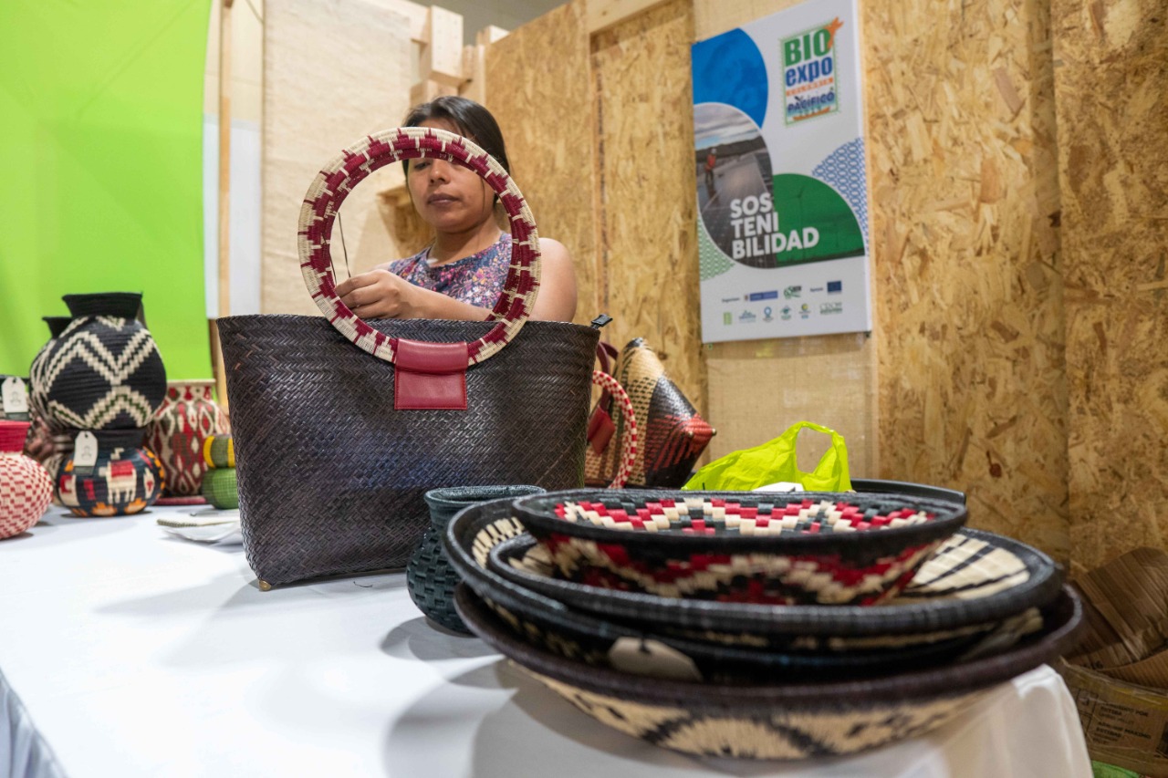 Región Caribe es la que más empleos verdes genera en el país, según Minambiente