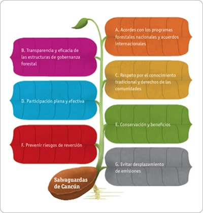 infografia sobre salvaguardas CANCUN