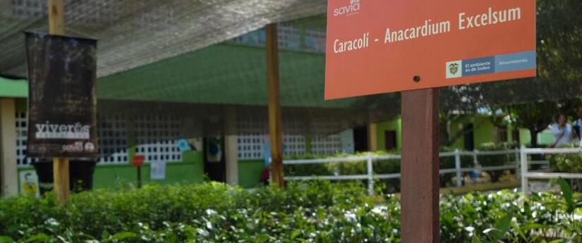 A través de Savia, el Minambiente empieza a entregar 1000 viveros escolares en el país