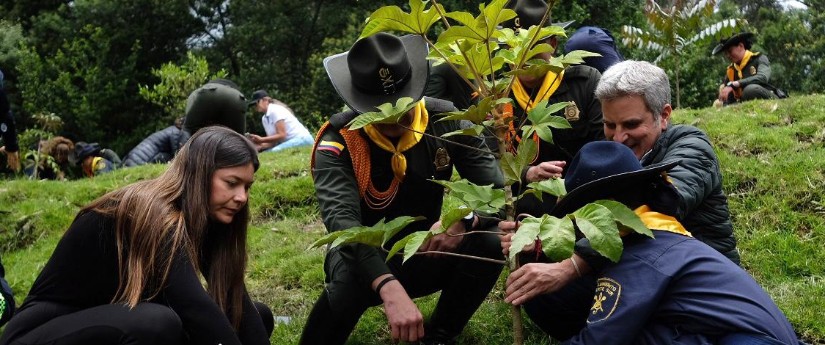 La Gran Sembratón superó la meta al plantar más de 4,1 millones de nuevos árboles nativos
