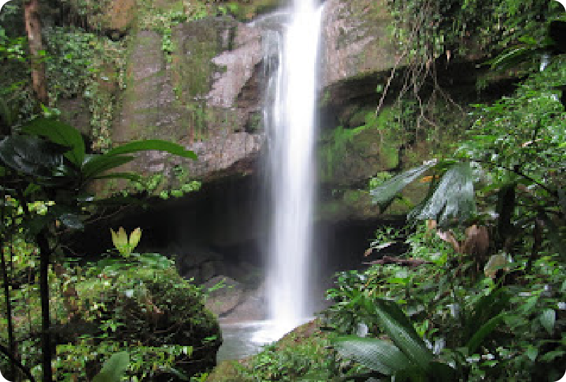 pequeña cascada