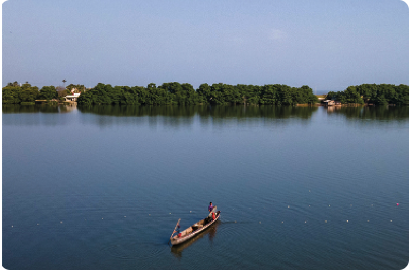 pequeña embarcación sobre la ciénaga grande de santa marta