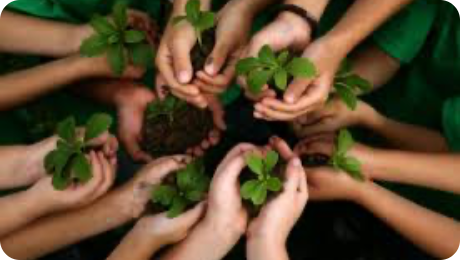 manos de niños sosteniendo plantulas