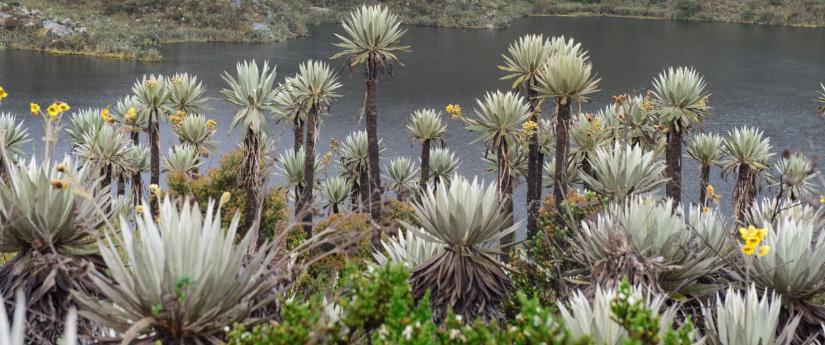 Gobierno Nacional llama a generar una economía de bienestar social preservando la Biodiversidad