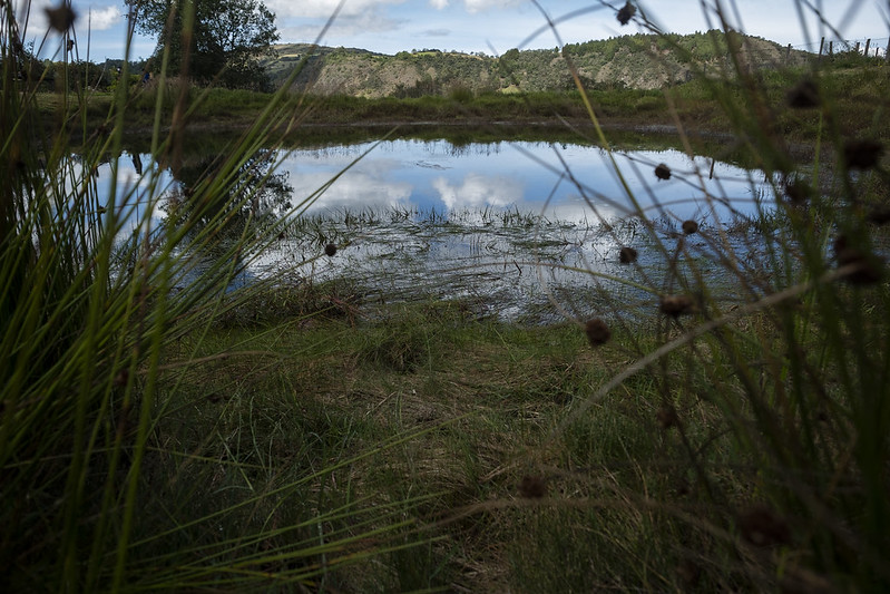 pequeño lago en zona de páramo