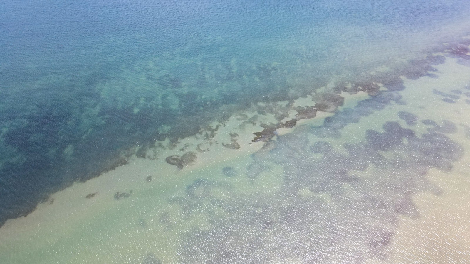 Cerca de 15.000 millones de pesos para la protección de los pastos marinos en La Guajira