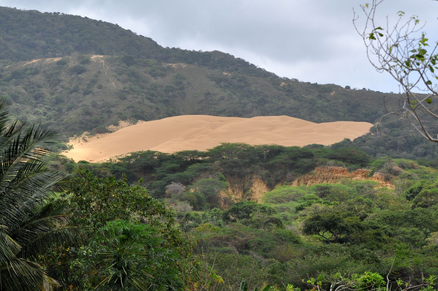 Minambiente anuncia más de 24 mil hectáreas restauradas y protegidas en parques nacionales con las comunidades étnicas de la Guajira