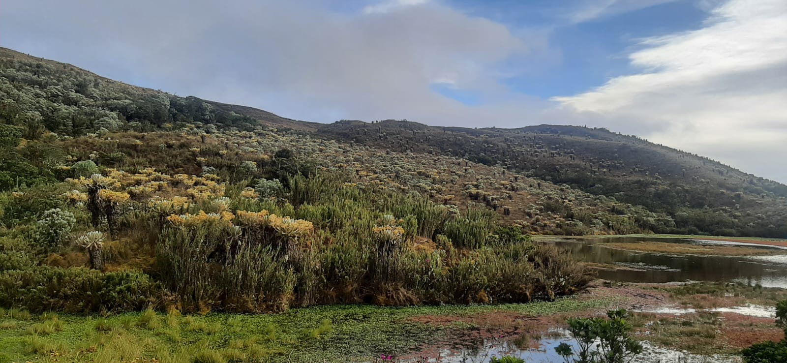 13 millones de dólares para la conservación de los páramos en Colombia