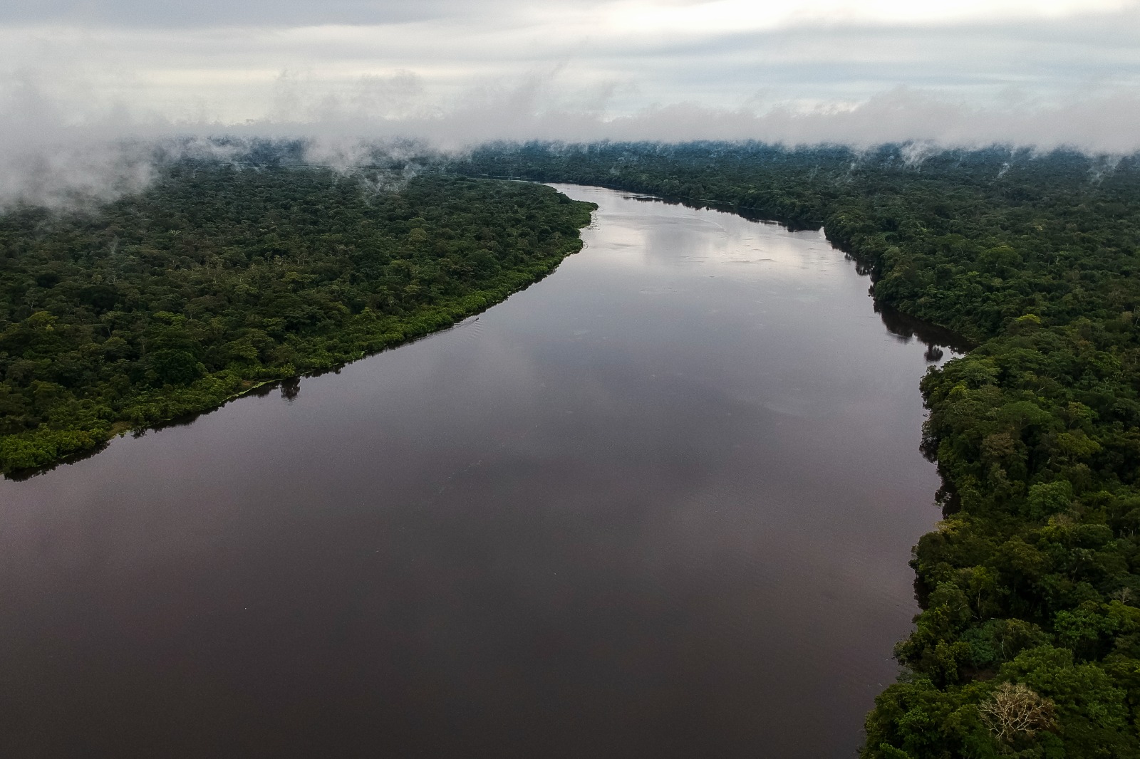 La Amazonía, invitada de honor en la Feria Internacional del Ambiente en Bogotá