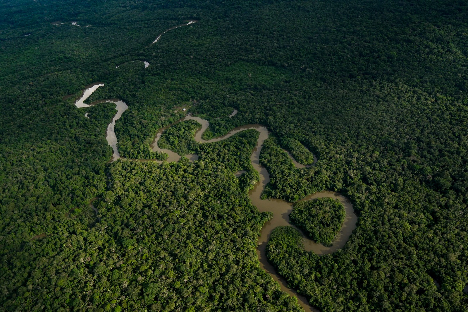 Colombia hospedará el evento presidencial más importante de la región para proteger la Amazonía