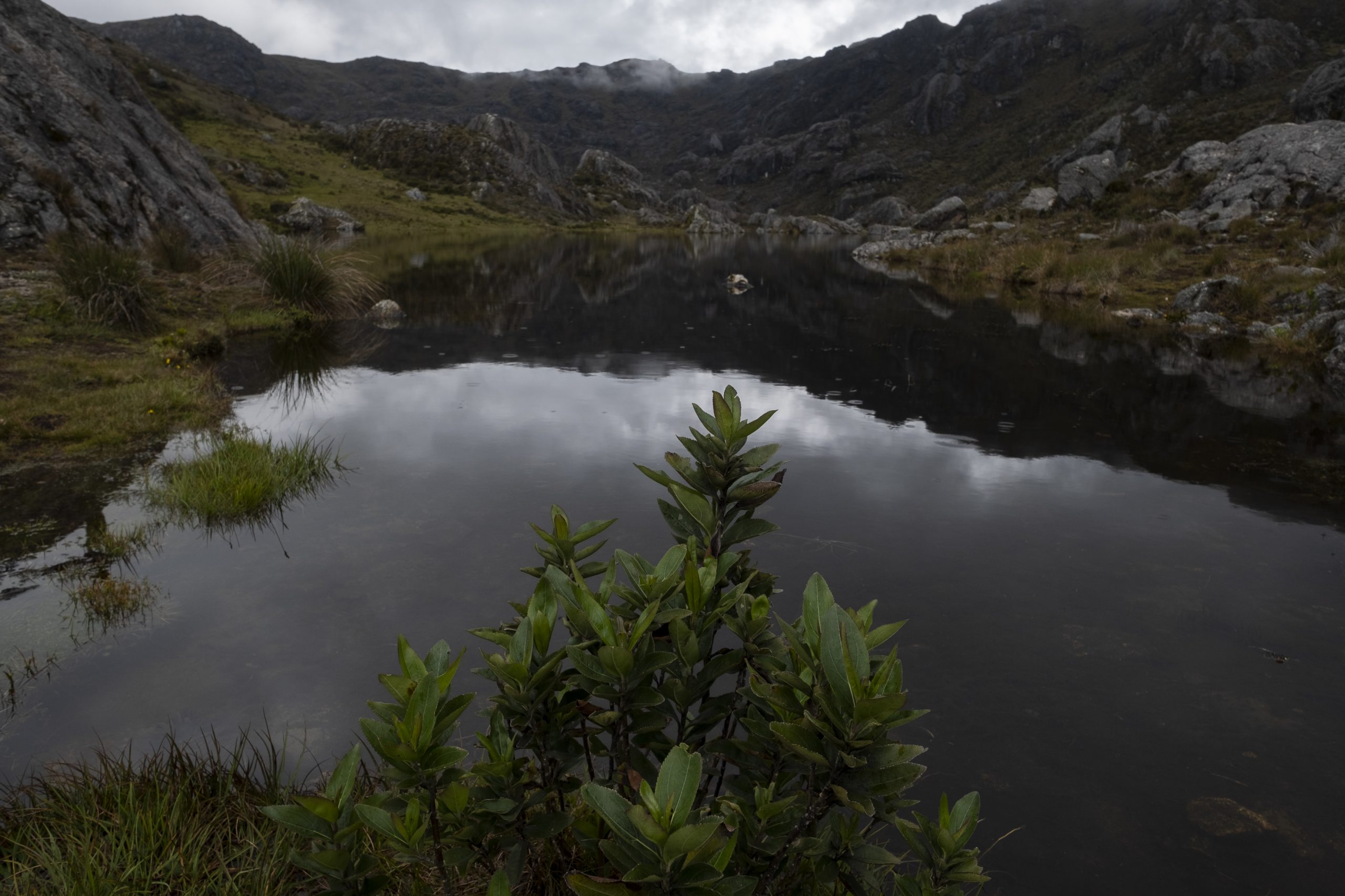 Poner el agua en el centro nos va a llevar a un acuerdo social por la protección del páramo: Ministra de Ambiente