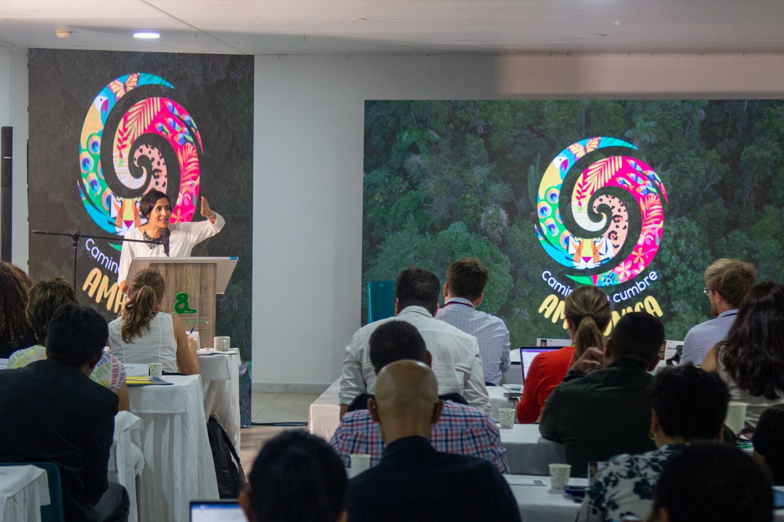 Delitos ambientales trasnacionales y sus capitales, tema clave en Cumbre Amazónica