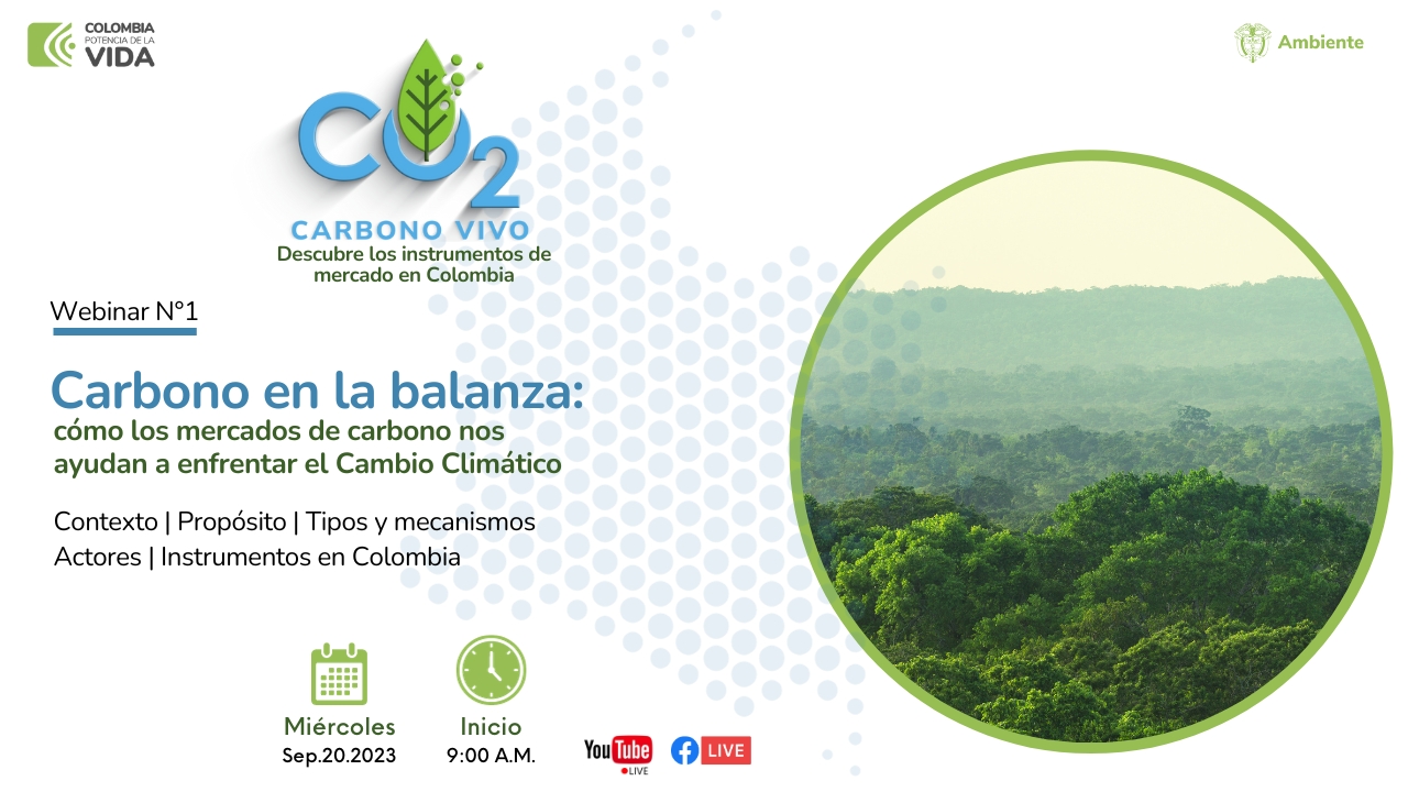 carbono en la balanza