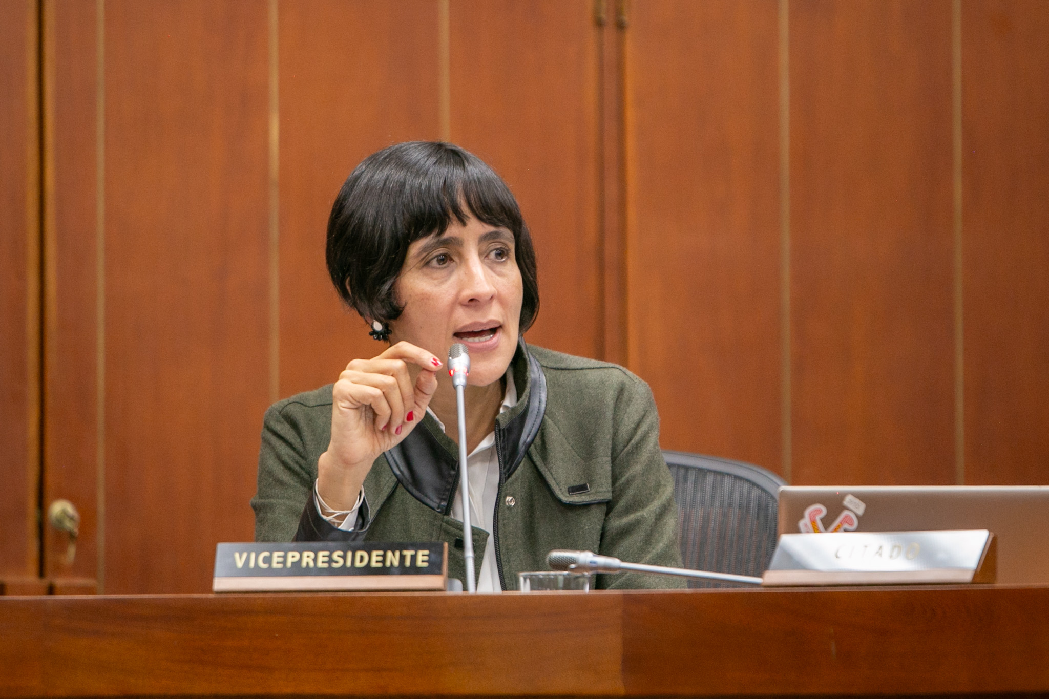 Ministra de Ambiente despeja miedos frente al ordenamiento minero ambiental en el país