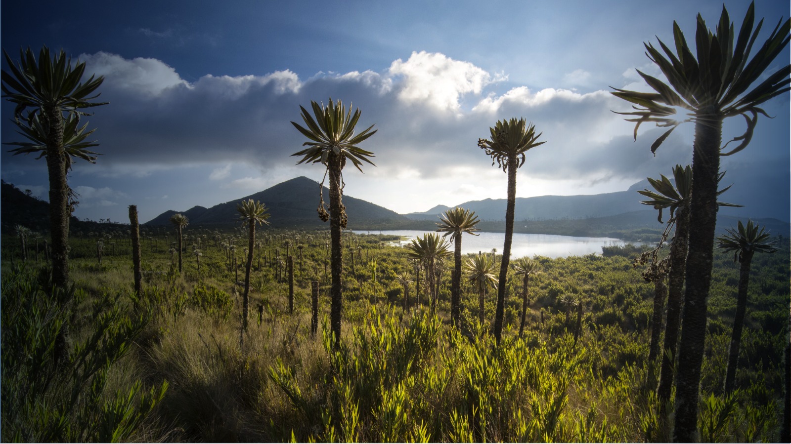 Gobierno Nacional prohíbe plásticos de un solo uso en áreas naturales protegidas y Parques Nacionales Naturales
