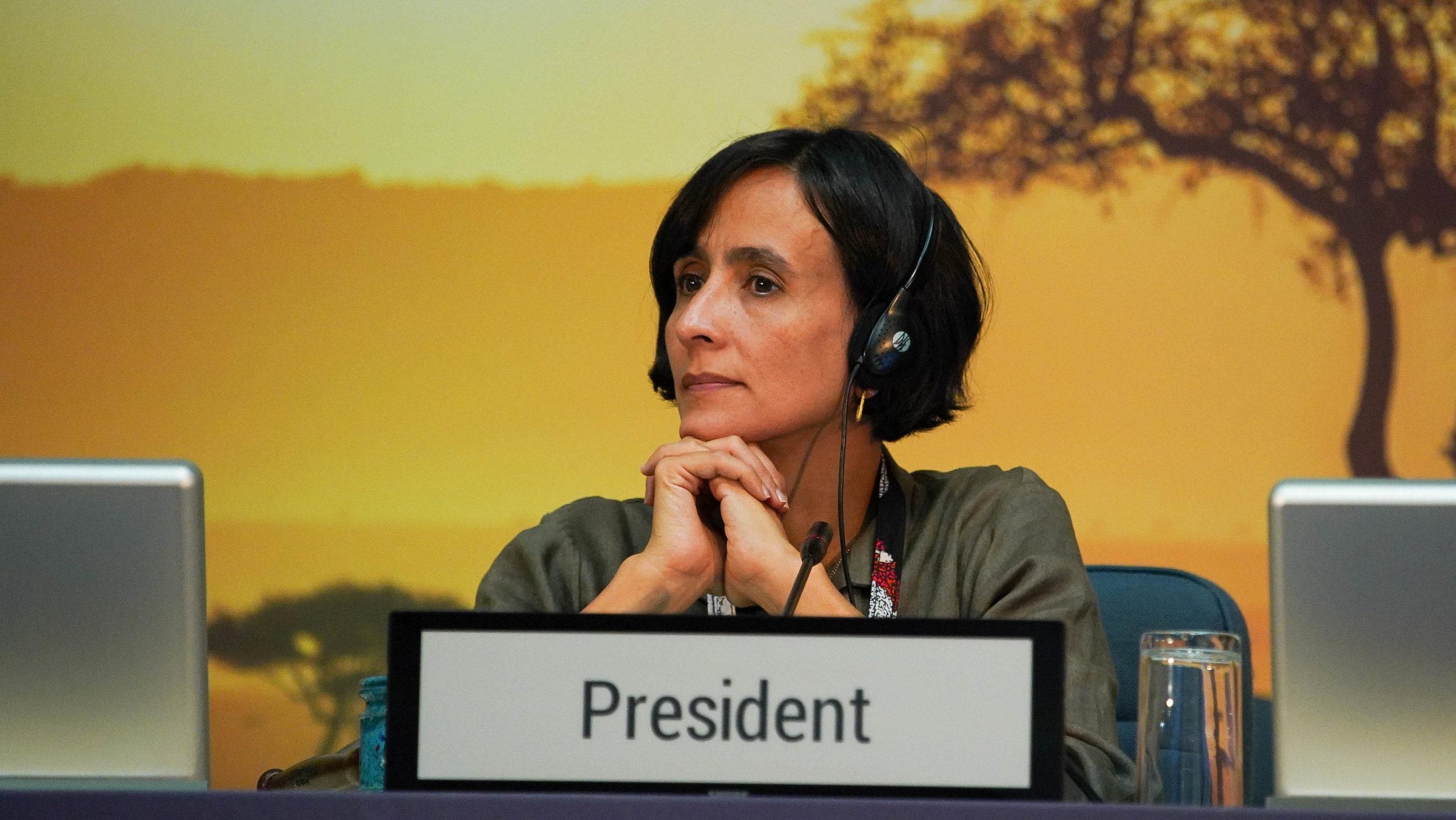 En el Día Internacional de la Biodiversidad, Colombia presenta al mundo sus apuestas para la COP16