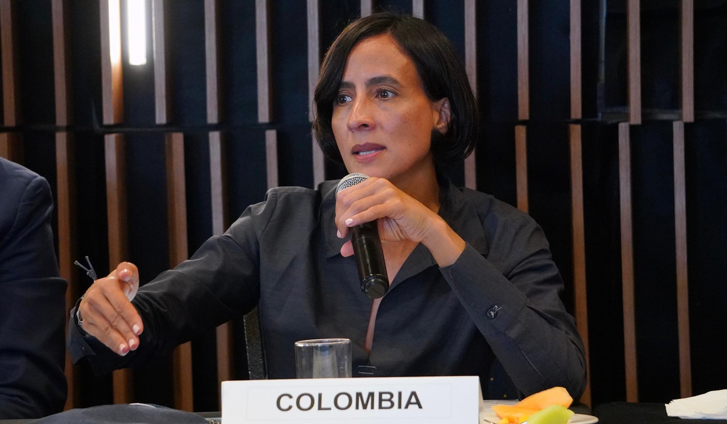 Reforma al sistema financiero mundial para enfrentar la crisis climática: Ministra Muhamad