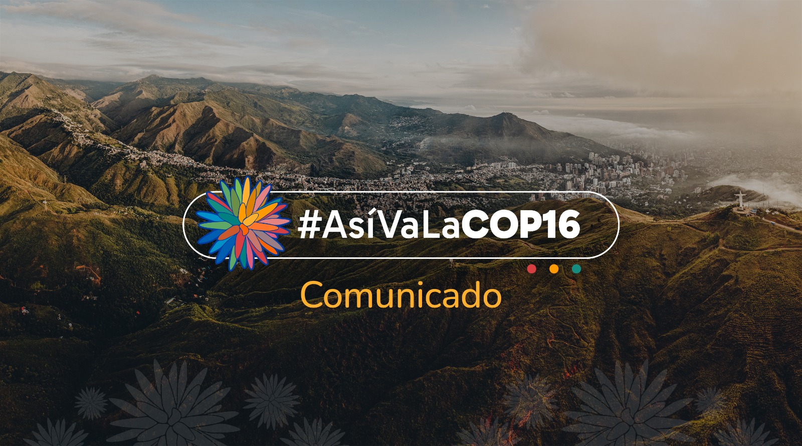 Comunicado de Prensa