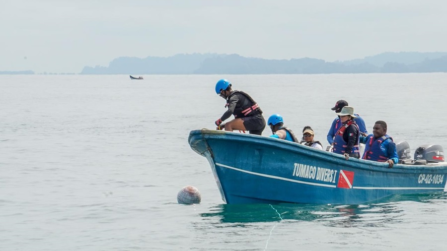 Se refuerza protección de ballenas en el Pacífico con capacitación internacional en Tumaco