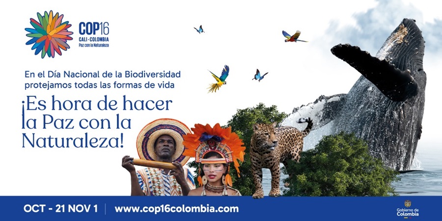 COP16: Colombia lanza llamado a hacer Paz con la Naturaleza en principales periódicos del país