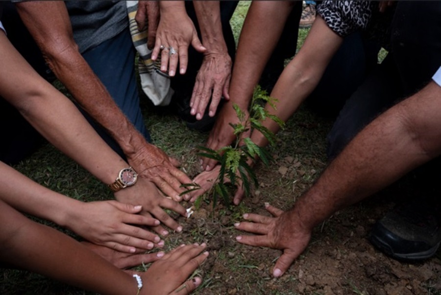 La naturaleza y sus defensores no pueden ser un botín de guerra