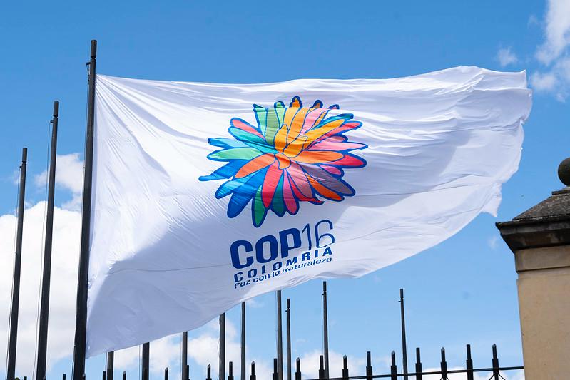 En Colombia ya se ondean las banderas de Naciones Unidas y la COP16