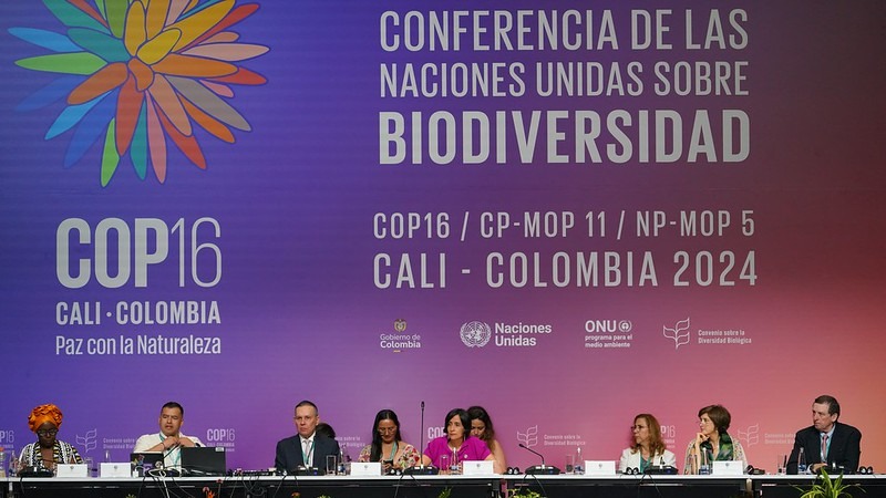 Parlamentarios del mundo lanzan declaratoria para la protección de la biodiversidad en la COP16