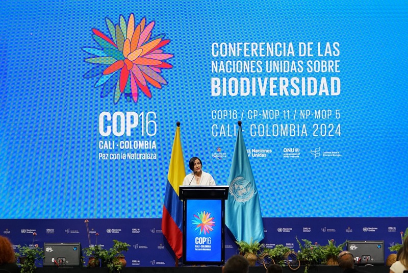 COP16 histórica: Con un gran acto inaugural Colombia recibe al mundo