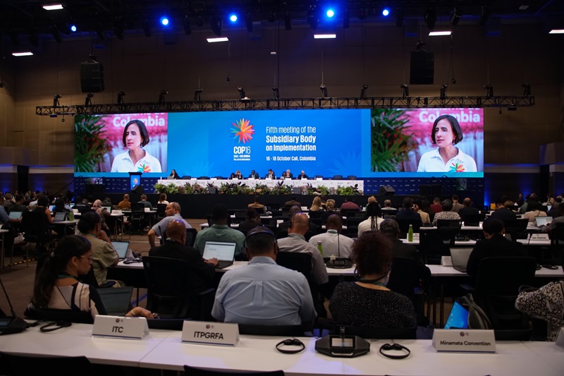 COP16: En Colombia, delegaciones del mundo hacen balance sobre el Marco de Biodiversidad