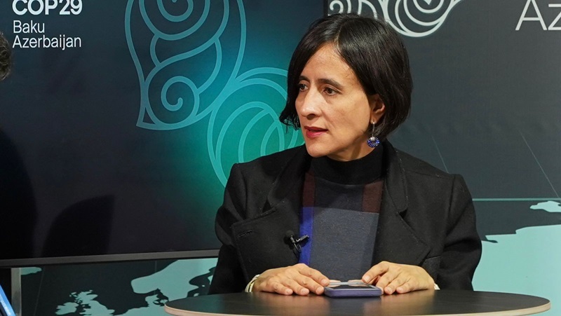 COP16: logros históricos y la hoja de ruta hacia 2025