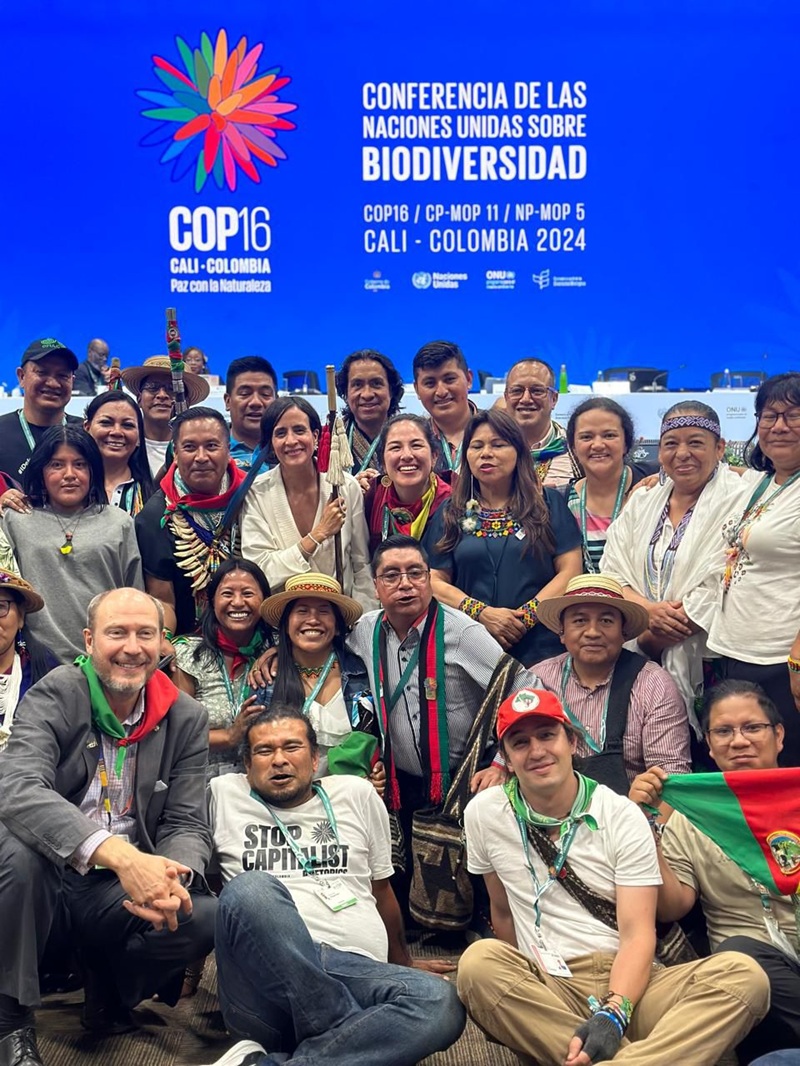 2024: Un año de logros históricos para el ambiente en Colombia