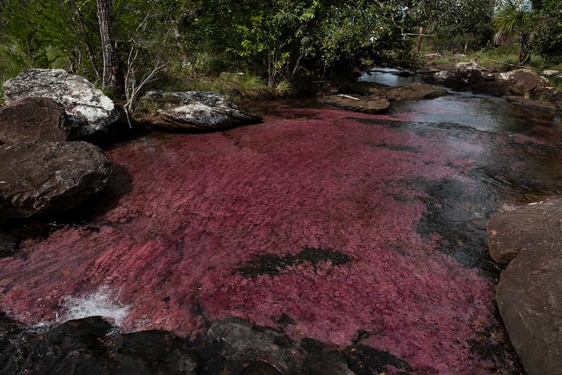 En vacaciones: turismo sostenible para proteger la biodiversidad y fomentar el desarrollo de las comunidades locales