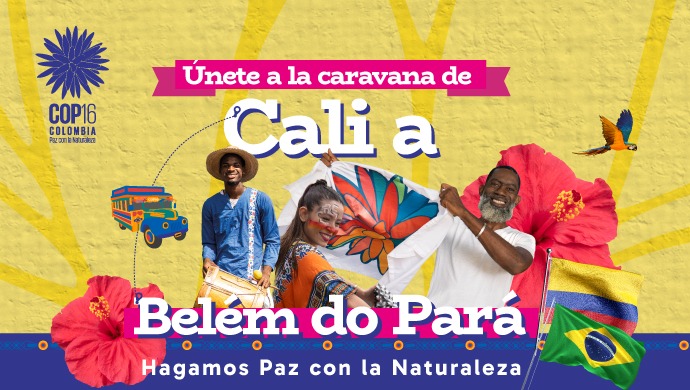 Arranca la Caravana de Cali a Belém: Proteger la biodiversidad y enfrentar la crisis climática