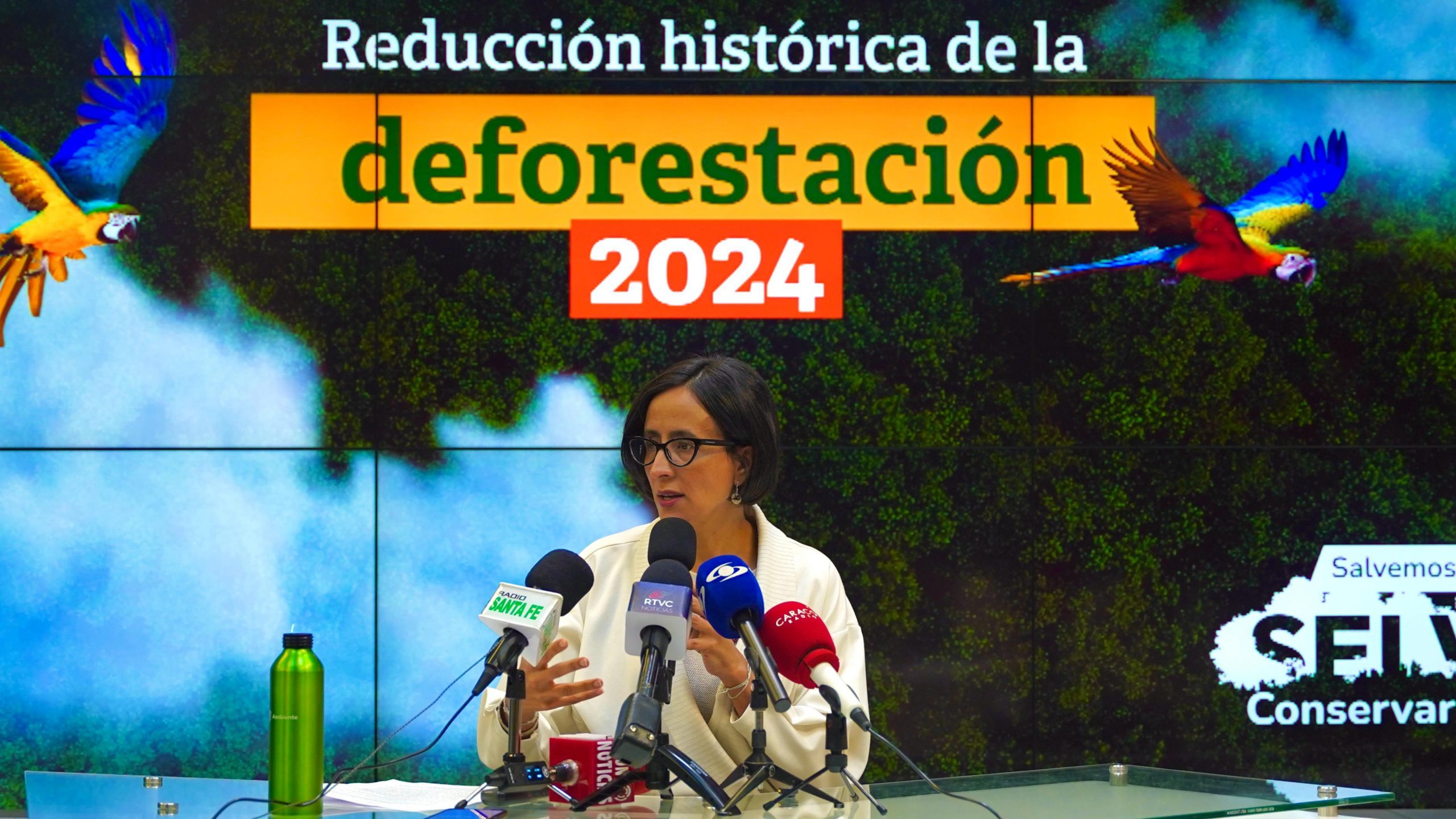 Colombia avanza en la lucha contra la deforestación con una reducción acumulada del 40%